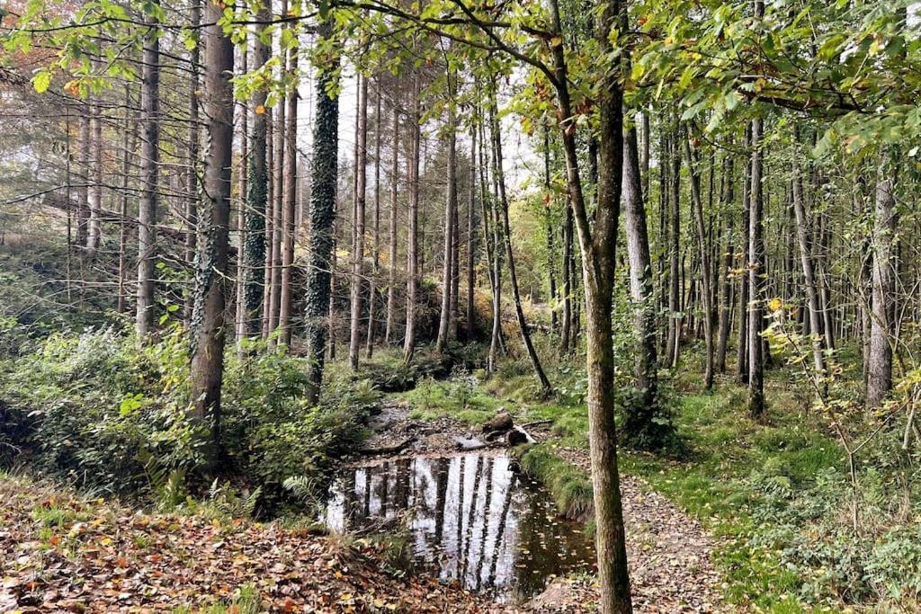 Forest Retreat- Serene 160M2 With Forest Views 韦默尔斯基兴 外观 照片